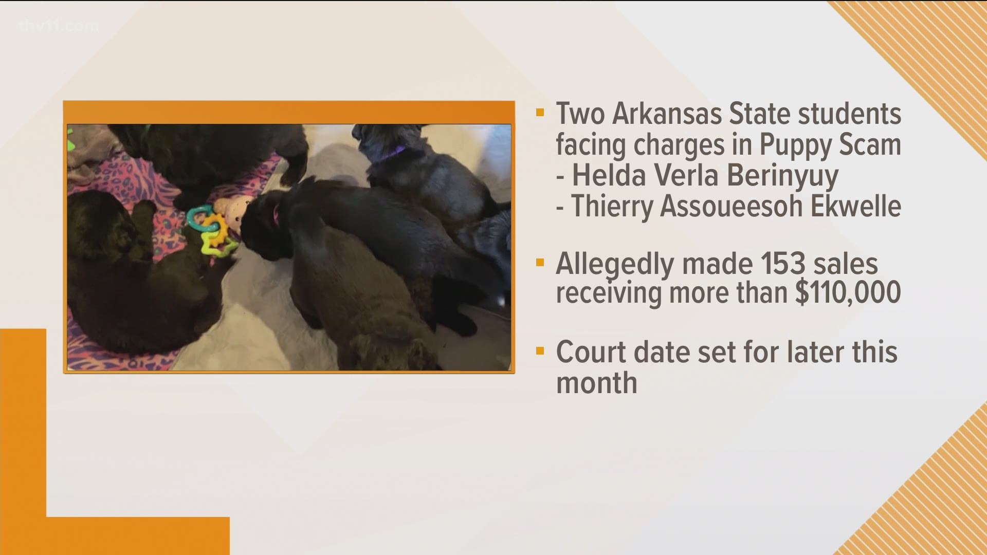 Two former Arkansas State students living in Malvern are being accused of scamming people into buying purebred, registered puppies that never existed.