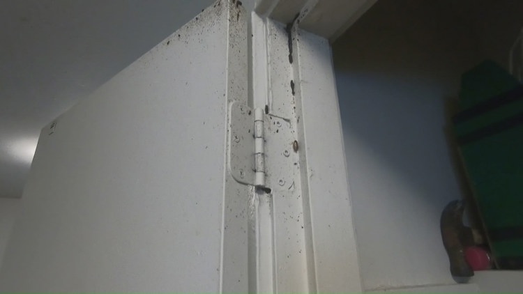 'We don't deserve to live like this' | Mountain View Heights tenants speak out over poor living conditions