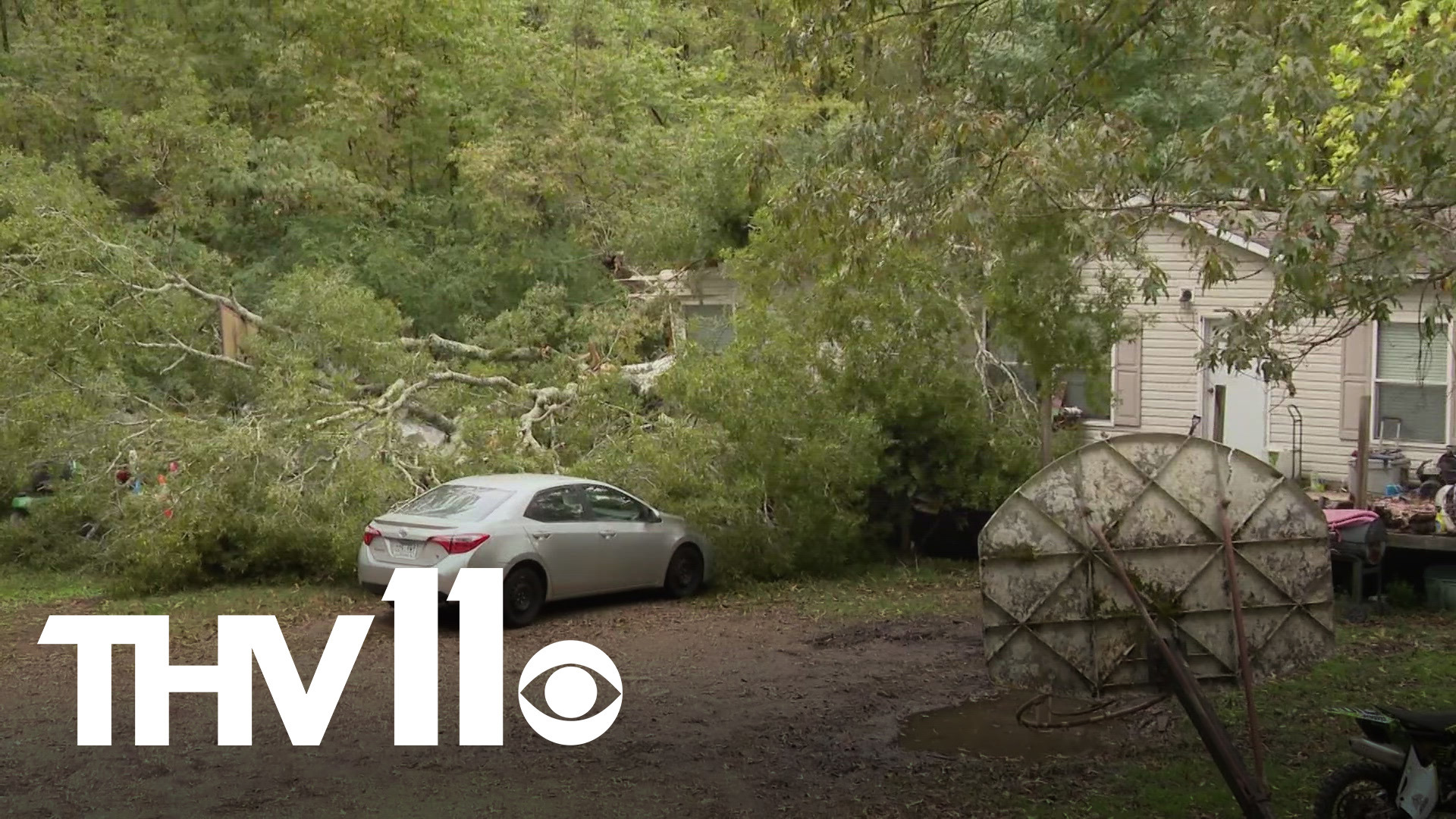 Arkansas woman dies after tree falls on home | 5newsonline.com