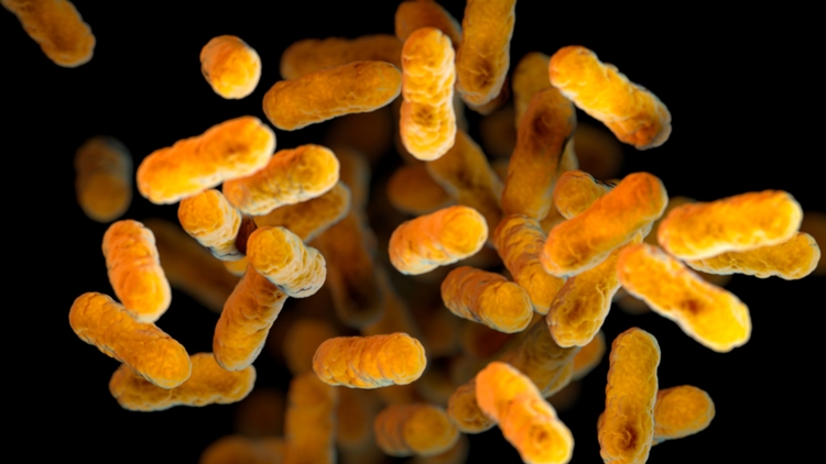 Health experts say whooping cough cases are on the rise