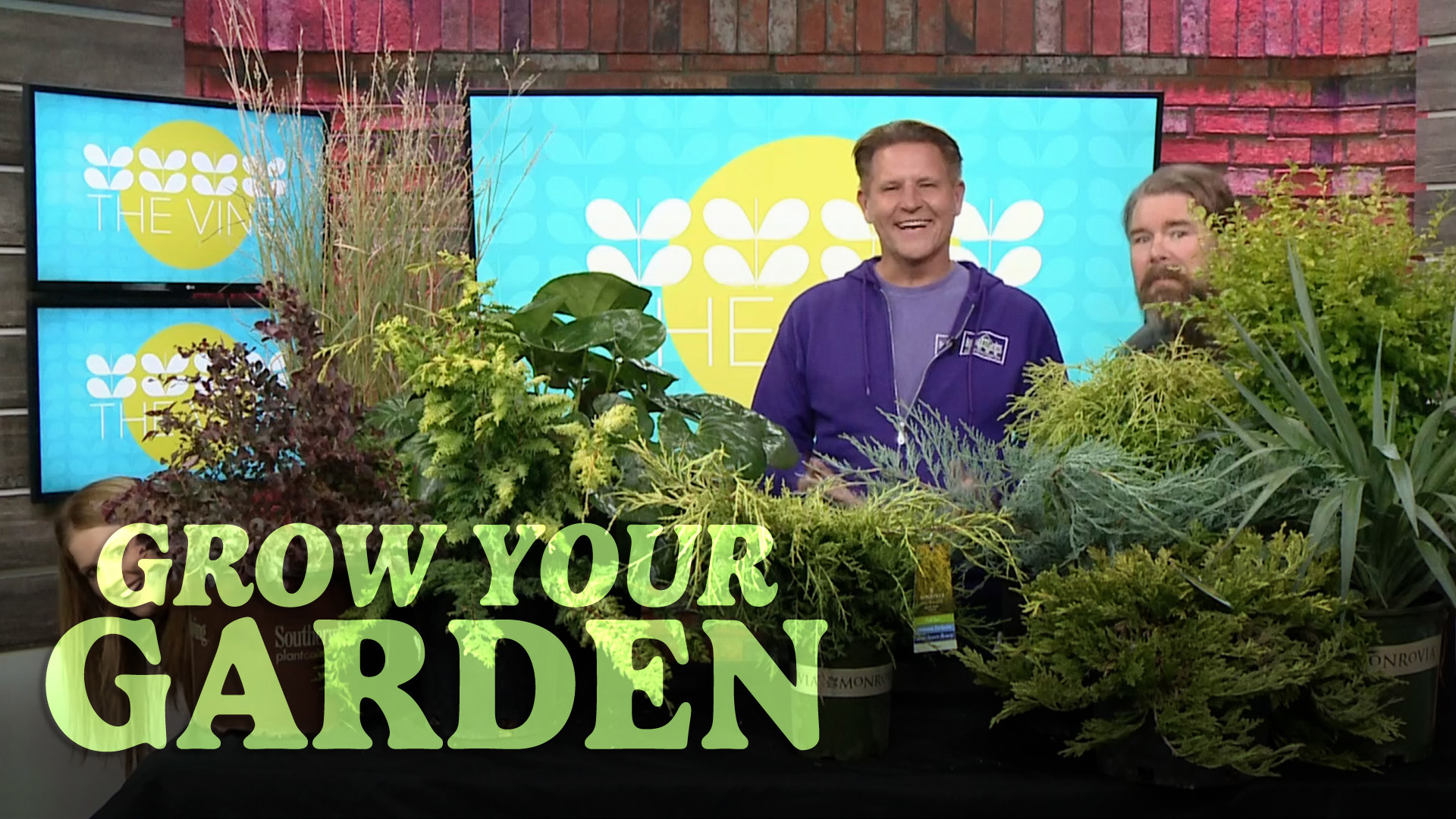 In this episode of Grow Your Garden, Chris H. Olsen shares the best evergreen plants and Fall annuals that you should add to your garden