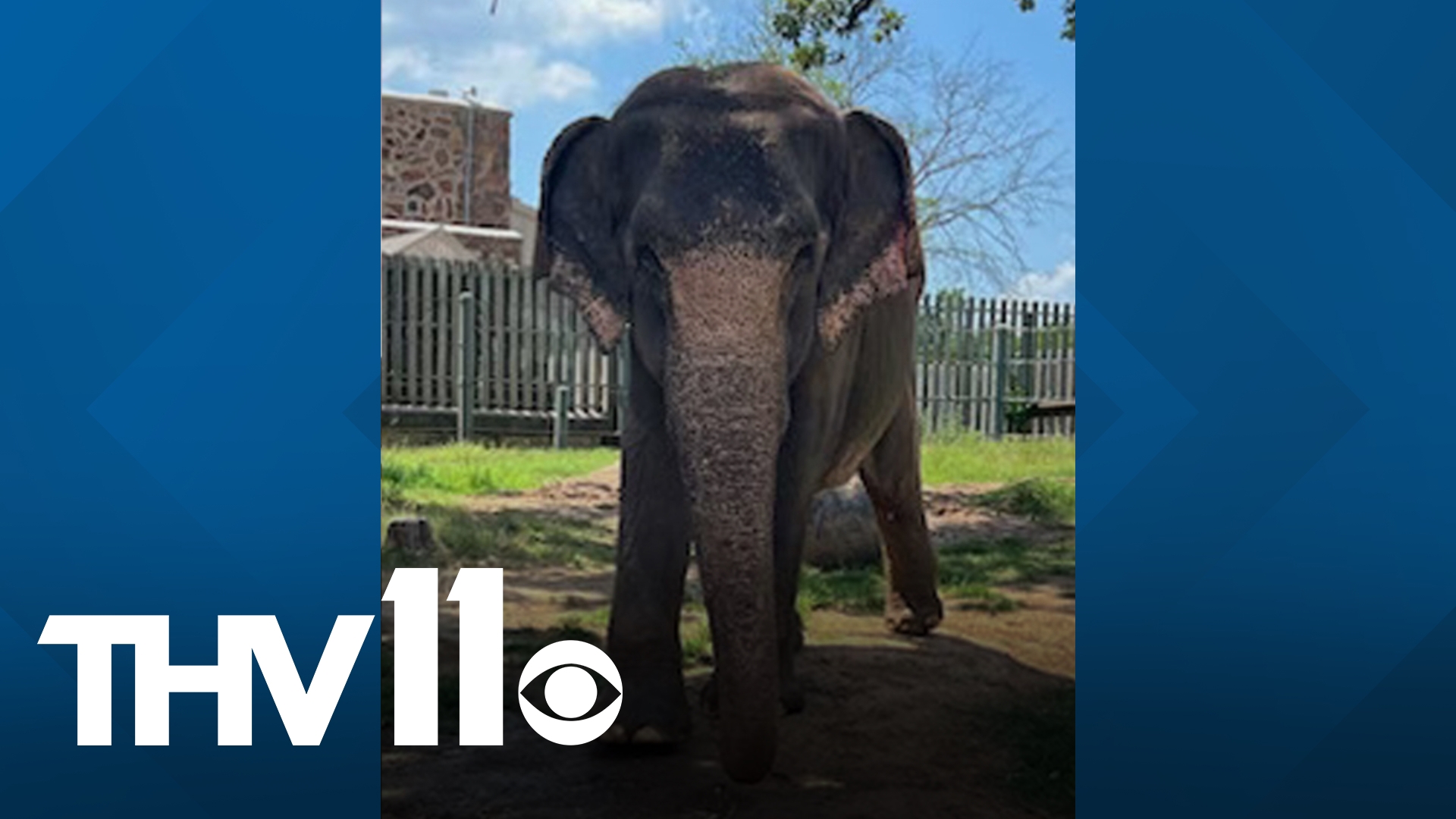 The Little Rock Zoo stated they will be closed to guests on October 28 after staff announced the passing of their beloved elephant Sophie.