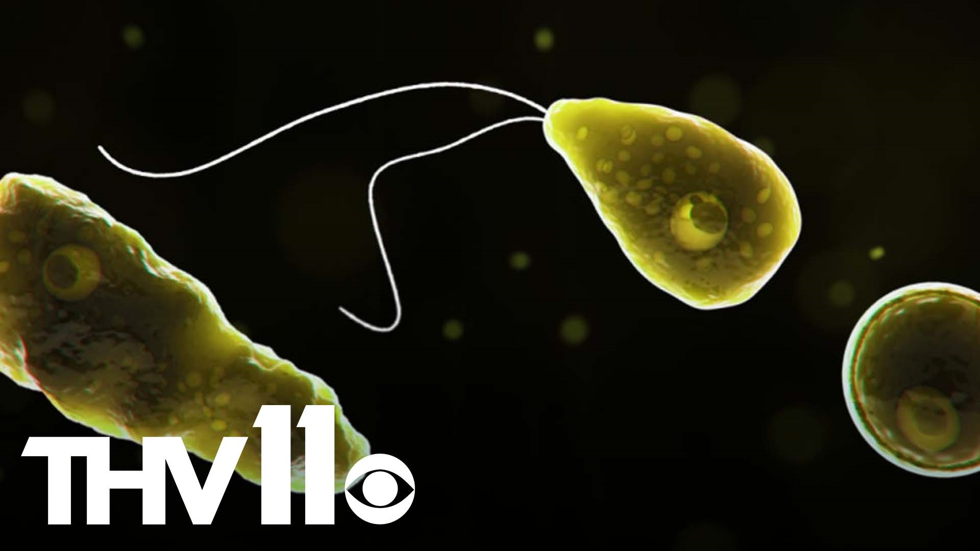 The Arkansas Department on Health announced that a person has died from a rare infection which targets the brain tissue commonly known as a brain-eating amoeba.