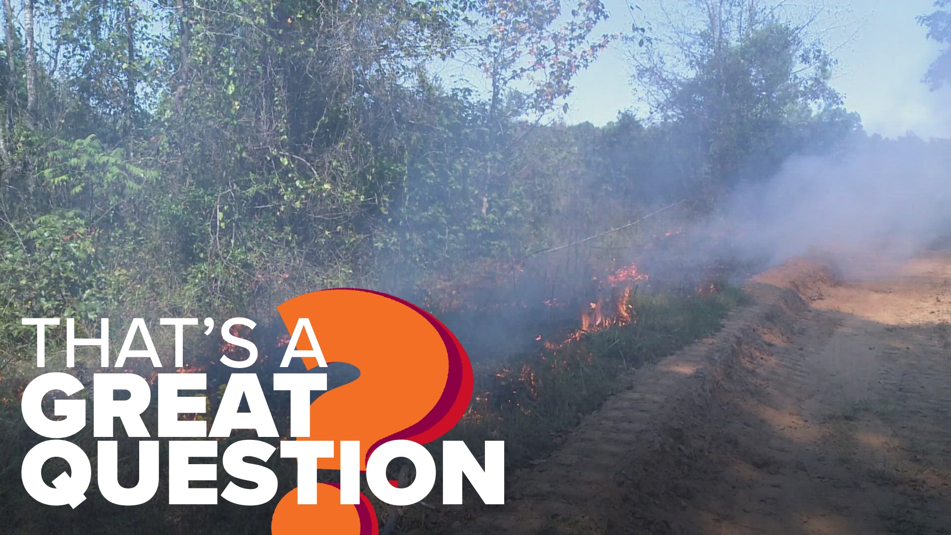 As temperatures soar across the US, many counties in the Natural State have been placed under burn bans or prescribed burns. Here's what this aims to achieve.