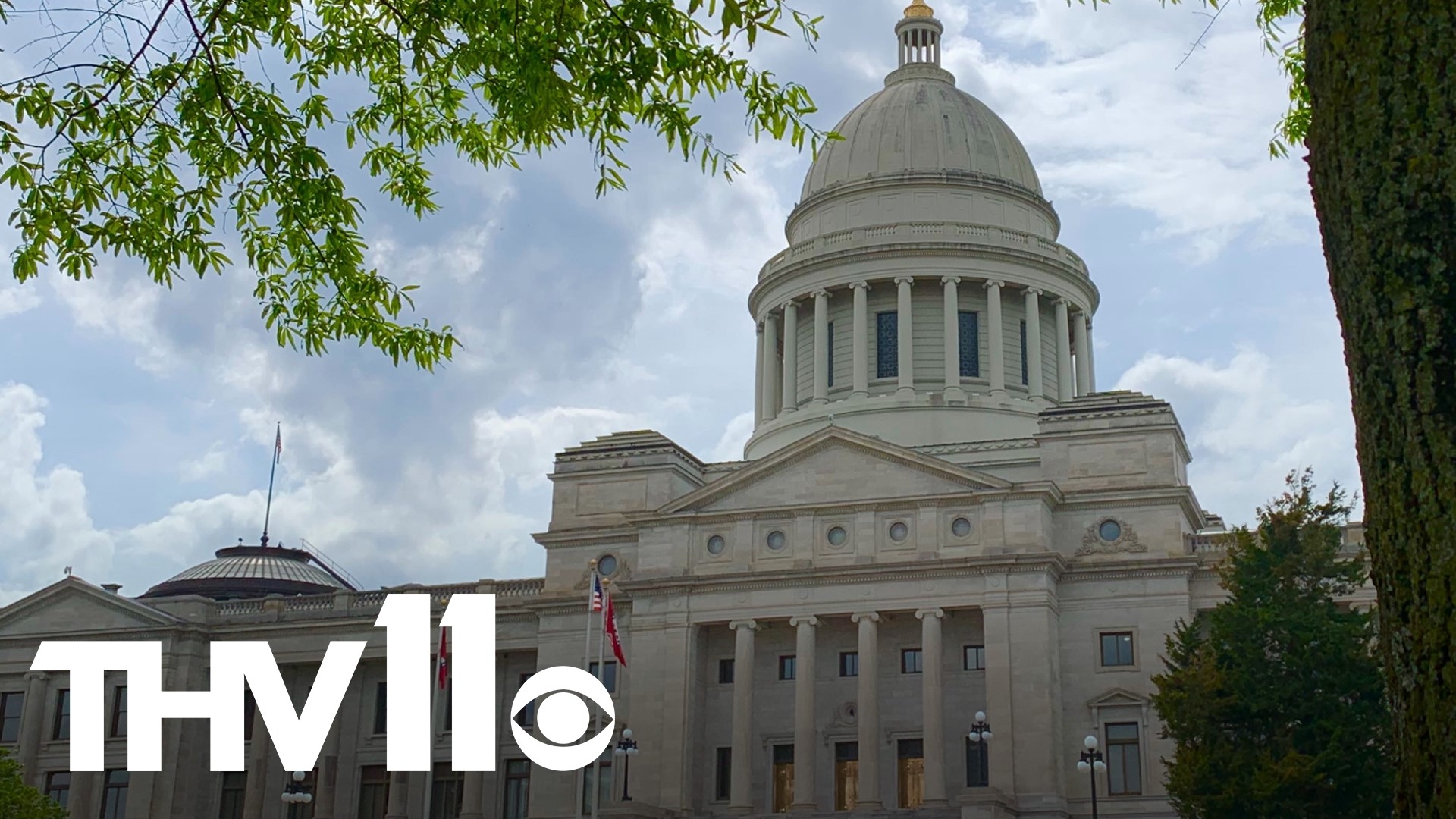 Several new laws will kick in at the start of 2024 and some are focused on providing better health care coverage for people in Arkansas.