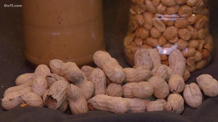Peanut allergy trial at Arkansas Children's shows hopeful results for kids