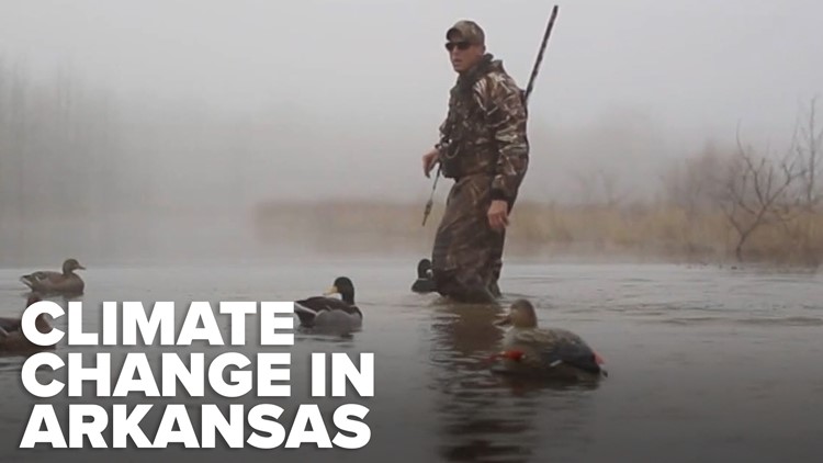 How farming & duck hunting is changing | Climate change in Arkansas