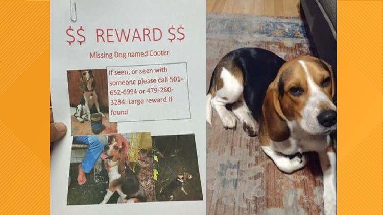 Arkansas family's missing dog found 1,000 miles away in Florida