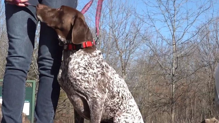 Arkansas woman warning others after her dog gets stuck in trap along nature trail