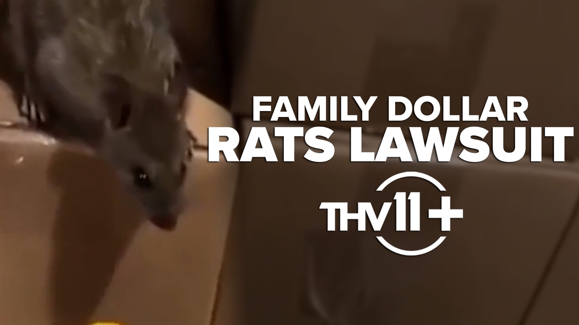 Family Dollar will pay a little over $41 million in fines after a rat infestation was discovered at a warehouse in West Memphis, Arkansas.