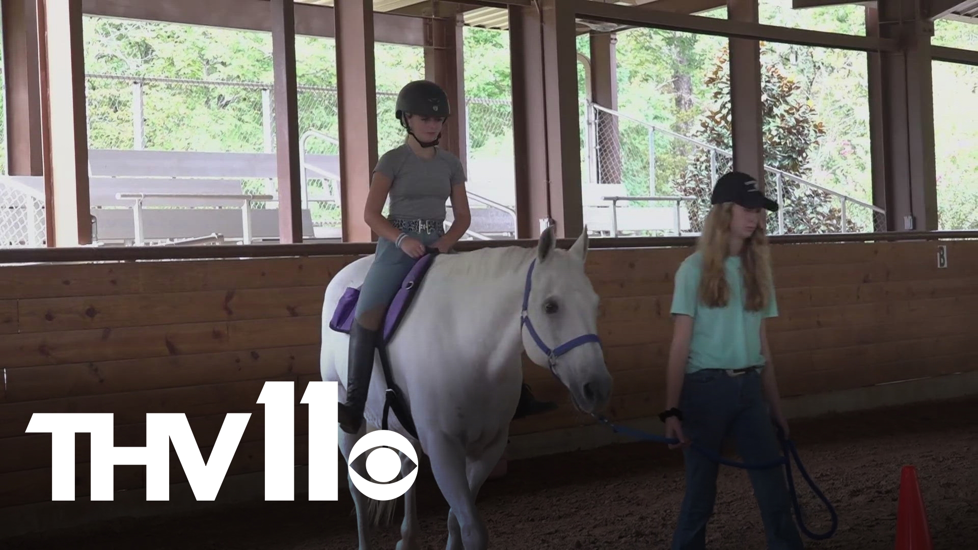 'Healing Hooves' is a non-profit in Little Rock that uses equine therapy to facilitate and help people with both their mental and physical health.