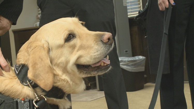 Meet K9 Officer Lucy: The newest employee for Arkansas's Special Investigation Division