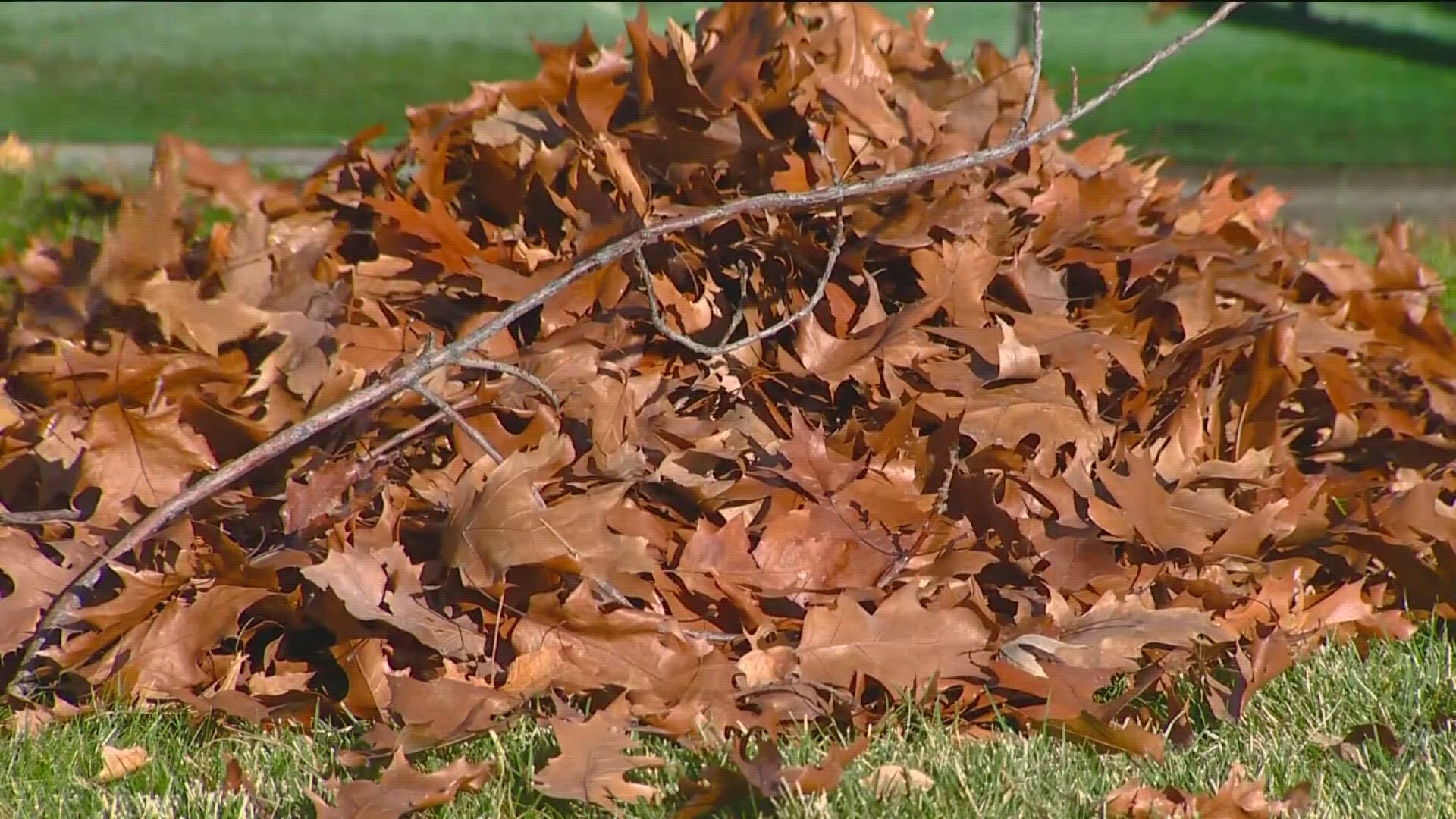 Davenport is beginning to send reminders about fall leaf pickup, and Muscatine's Beckey Bridge will undergo bridge washing.