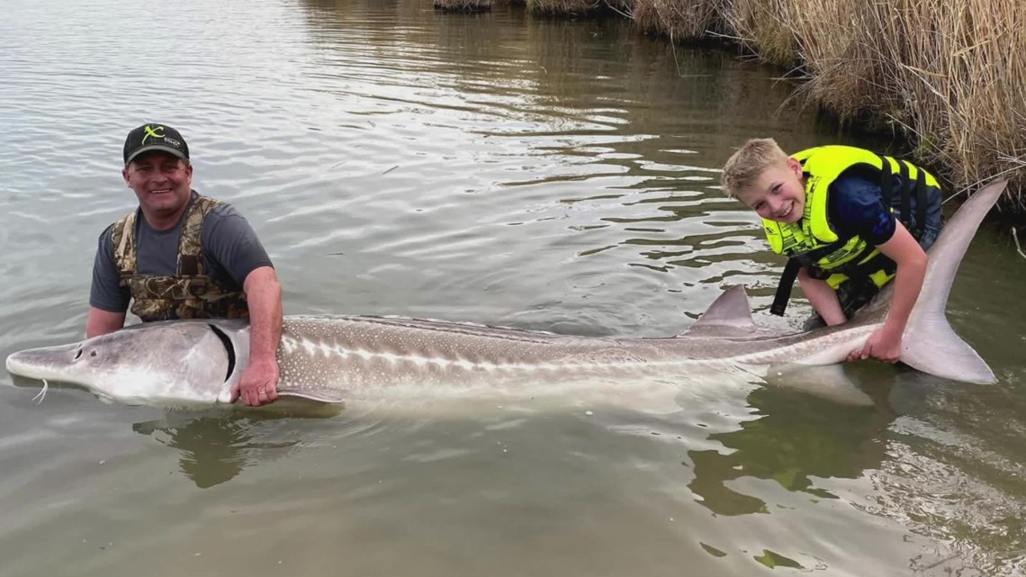 12-year-old boy ties the Idaho sturgeon catch and release record - Vimarsana News