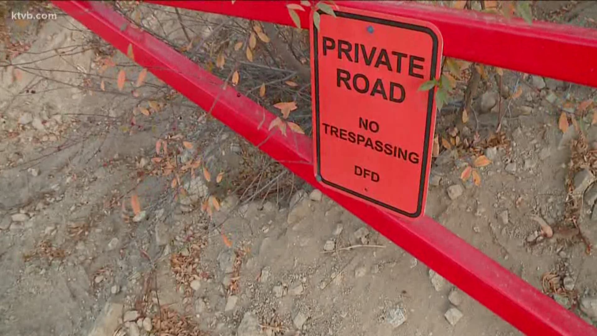 Texas Billionaire Brothers Put Up Gates, No Trespassing Signs On Forest ...