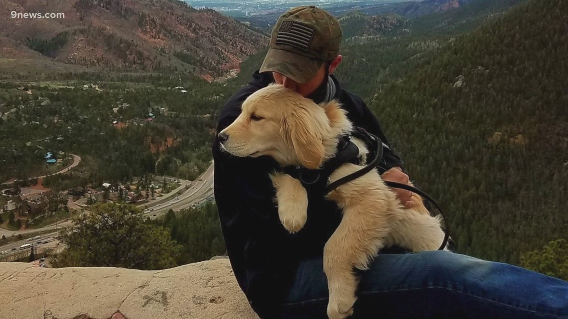 President Biden signs PAWS Act, allowing VA to pay for service dogs for veterans