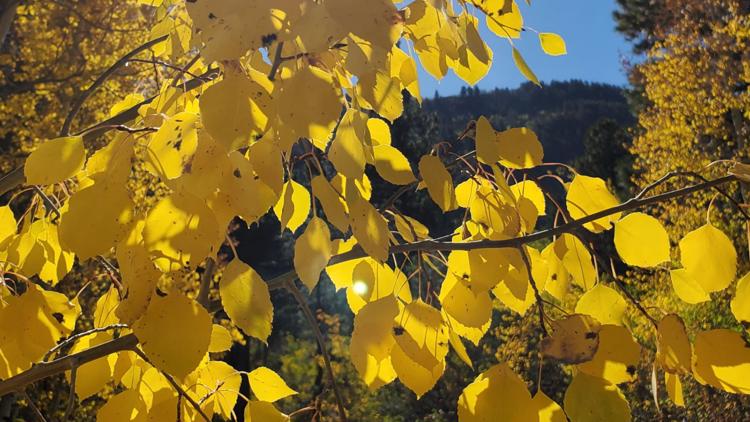 When do the fall colors start in Colorado?