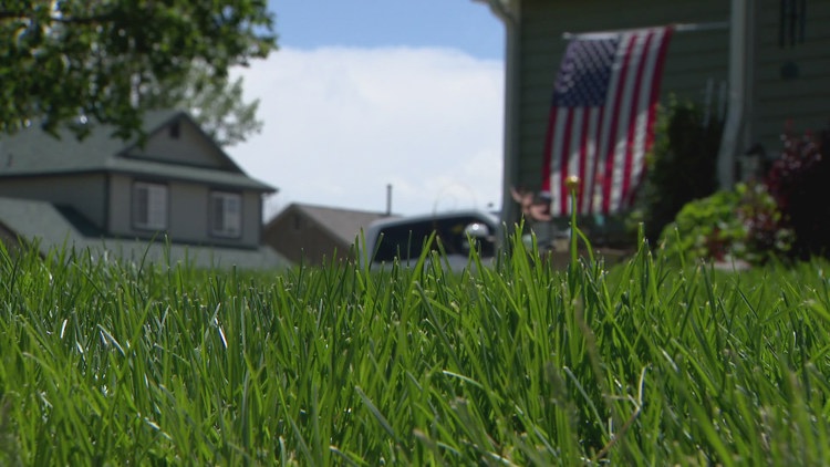 Castle Rock may ban HOA fines for brown lawns during drought