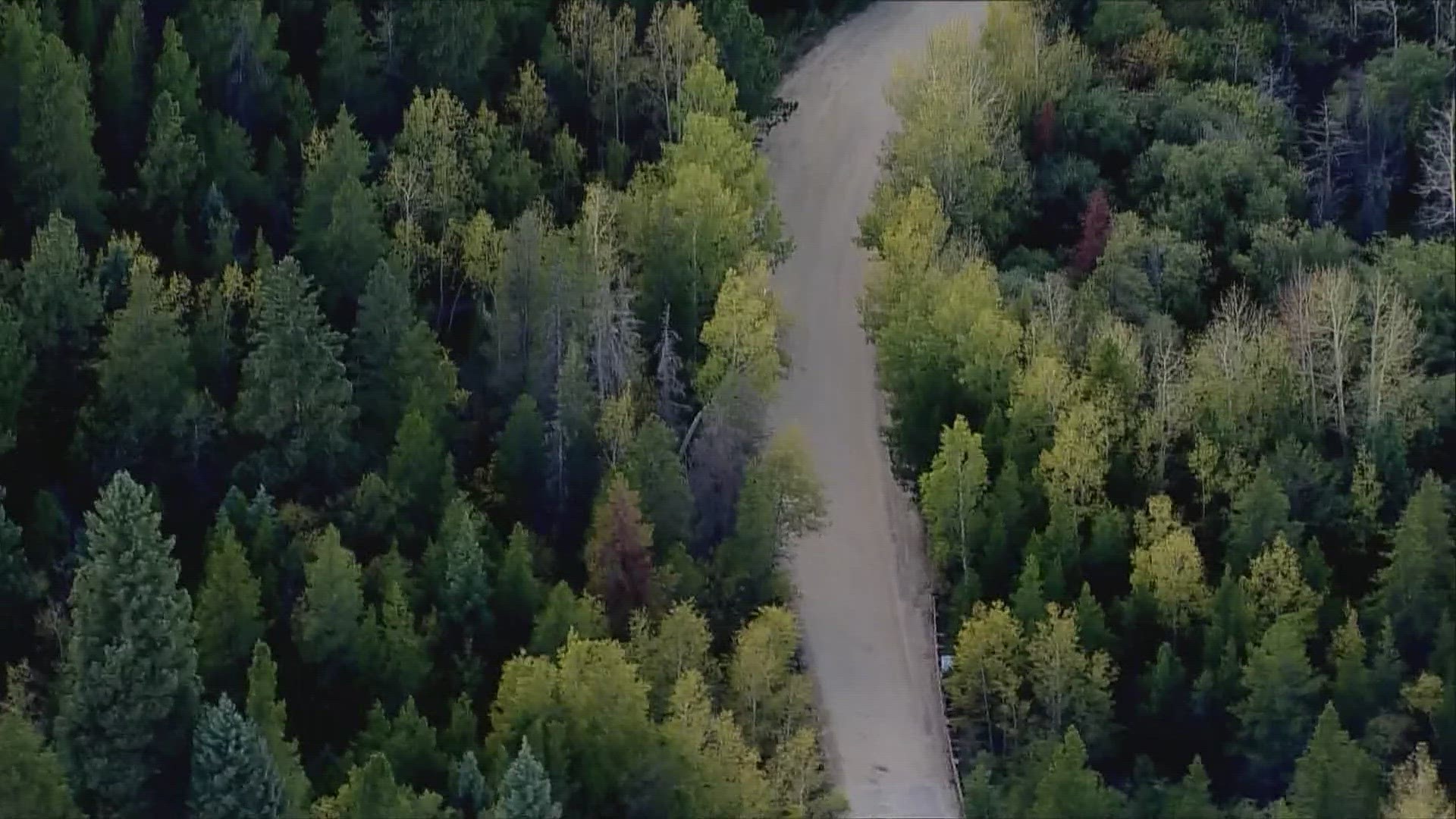 Wildlife officials used signs to warn hikers of a moose with calves that may act aggressively towards people, dogs and reminded owners to leash their pets.