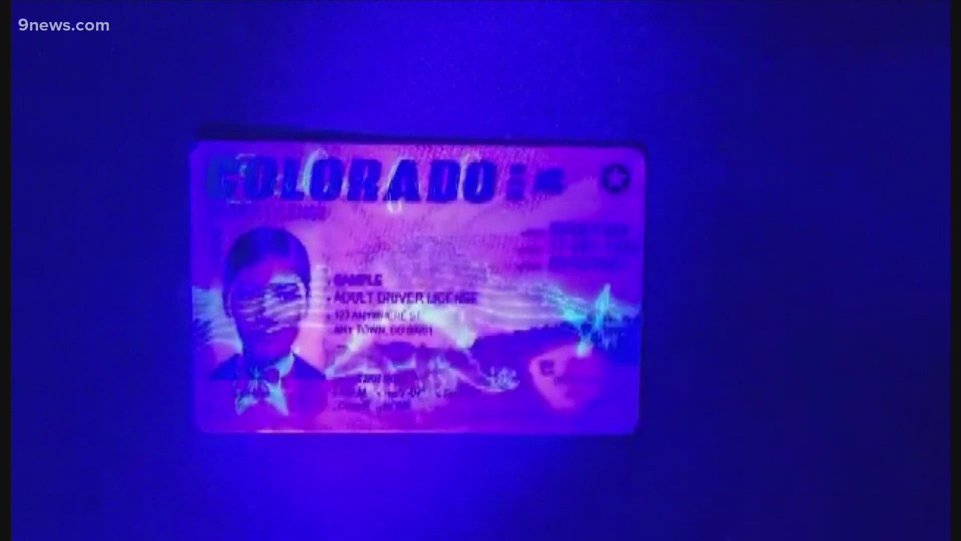 The design includes features visible only under certain light, including a stegosaurus and trout both revealed by blacklight.
