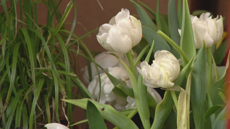 Seniors across the metro area get a sweet-smelling surprise