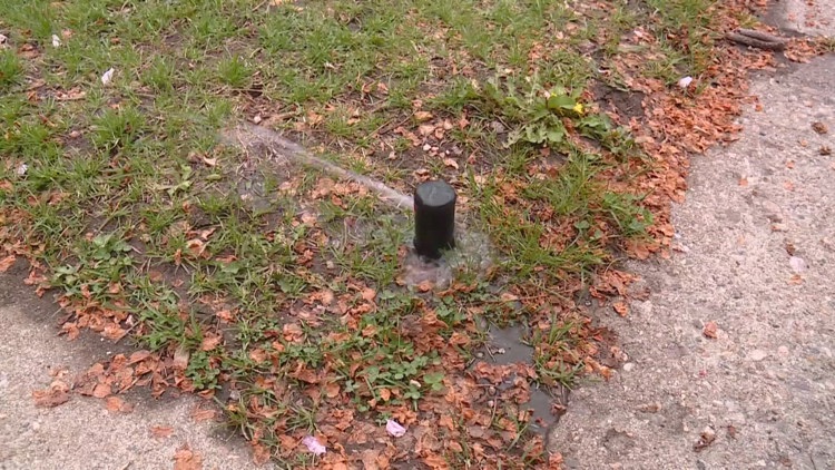 Denver Parks and Recreation rolls out water-wise plan during Stage 1 drought