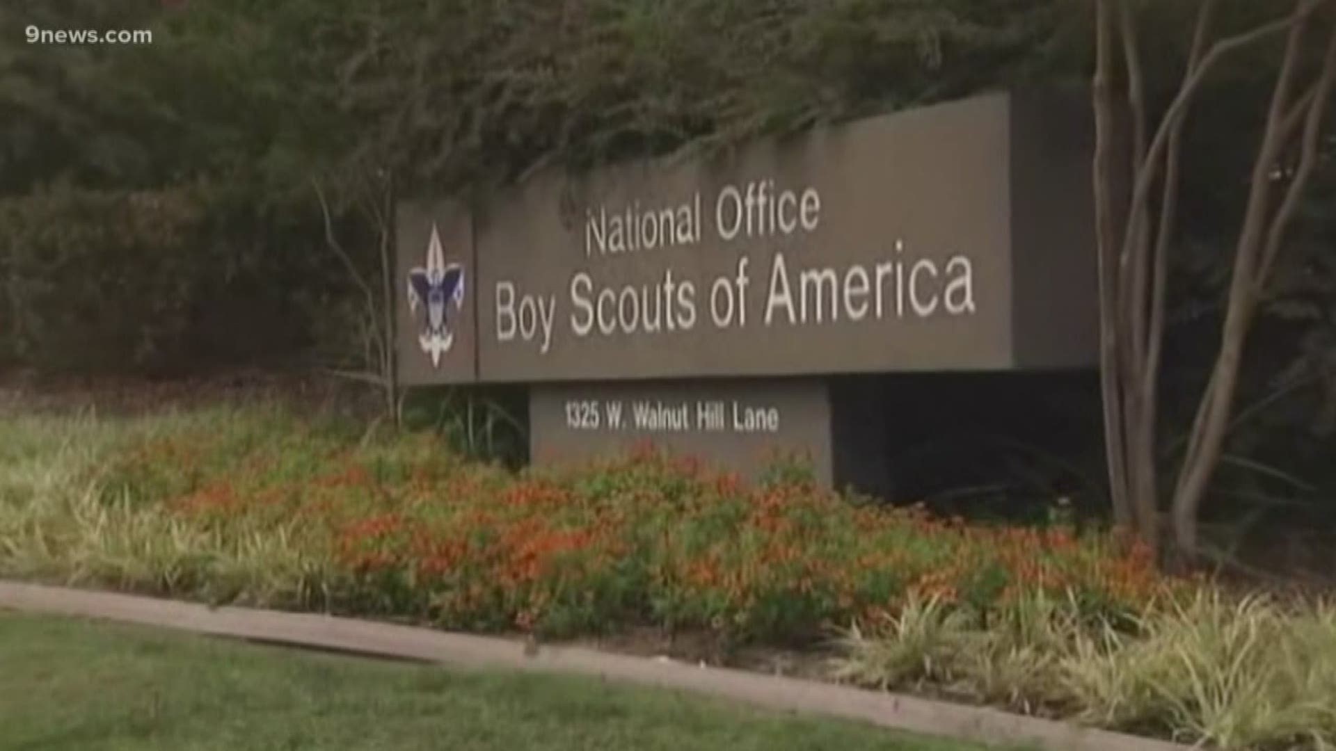 The Boy Scouts of America has filed for bankruptcy protection as it faces a barrage of new sex-abuse lawsuits. Legal analyst Whitney Traylor breaks it all down.