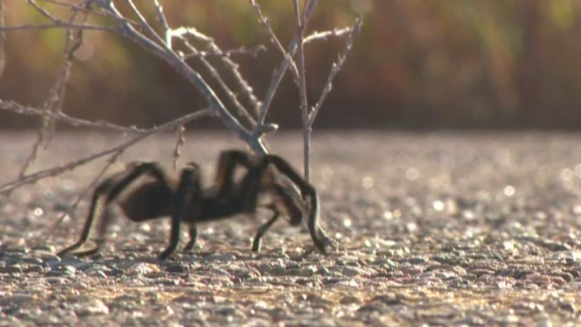 Crawling through. Crawling through