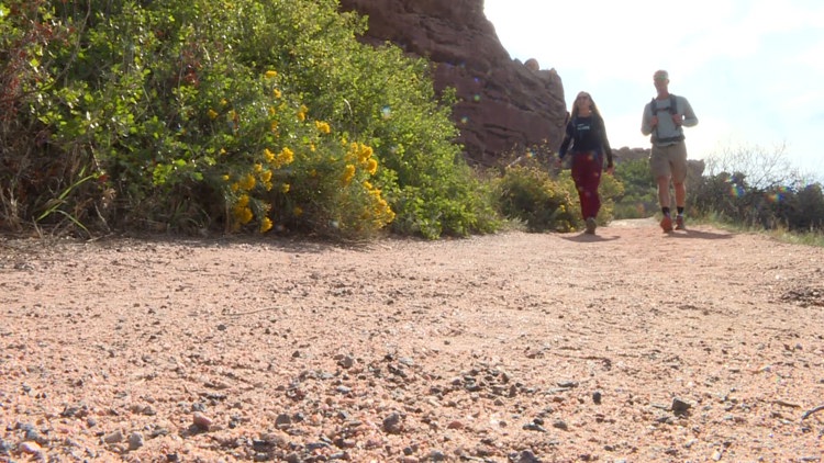 Colorado couple to hike difficult Grand Canyon trail as kidney donors in hopes of inspiring others to give