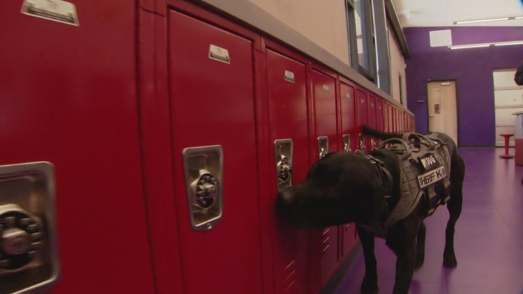 Arapahoe County school therapy dog doing double duty