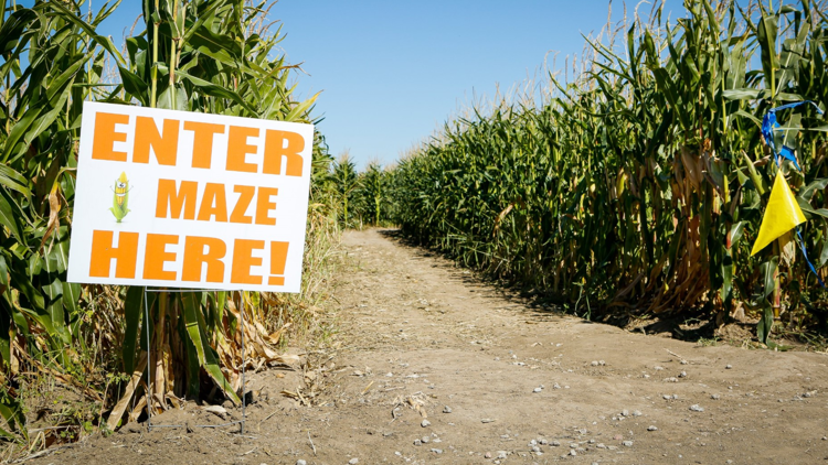 20 corn mazes to explore  in Colorado