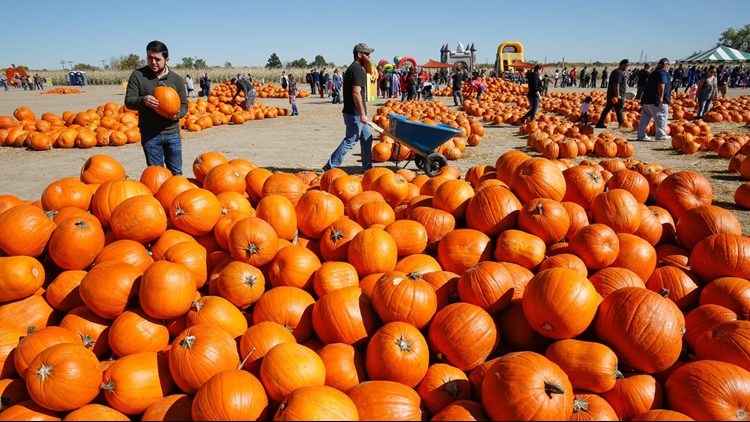 9Things to do in Colorado this weekend: Sept. 30-Oct. 2