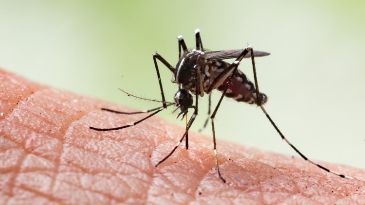 1st West Nile-related death in Adams County