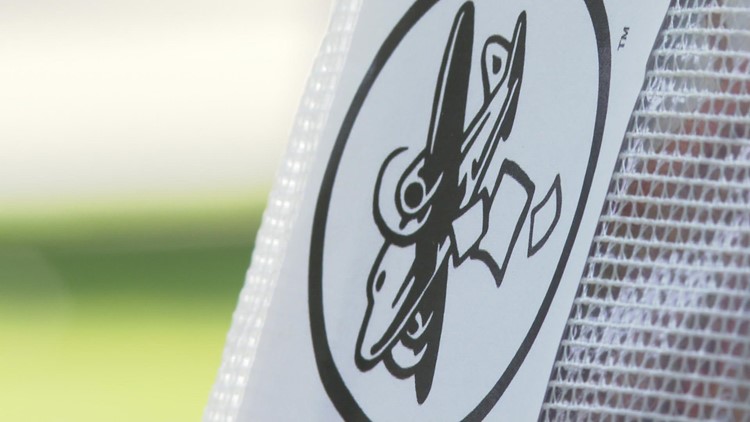 Local artists hide works around city for people to find and keep