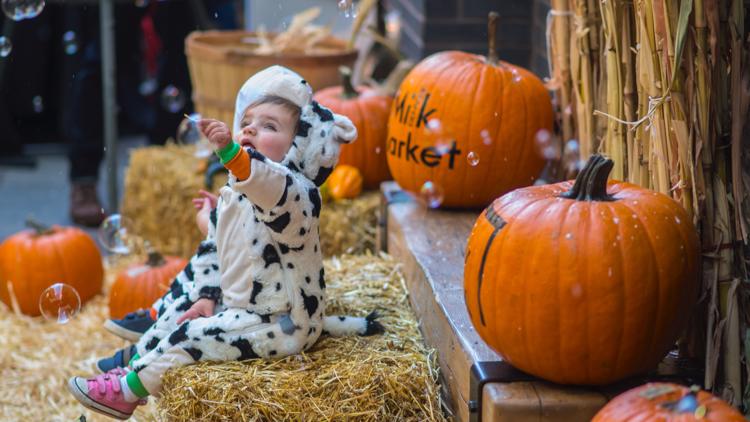 9Things to do in Colorado this weekend: Oct. 21-23