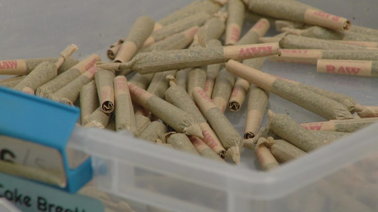 Decline in marijuana prices squeezes growers' livelihoods