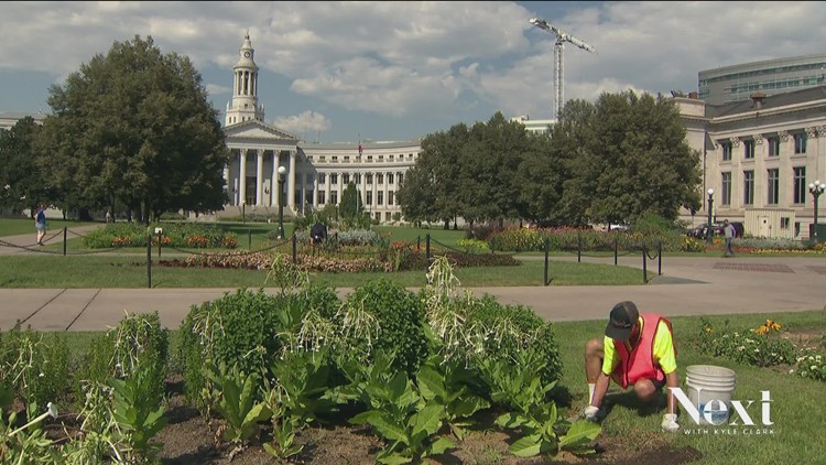 Nonprofit hires people who live on the streets to help restore Civic Center