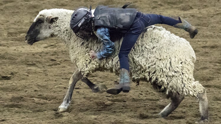 How to avoid a parking lot traffic jam at the Stock Show