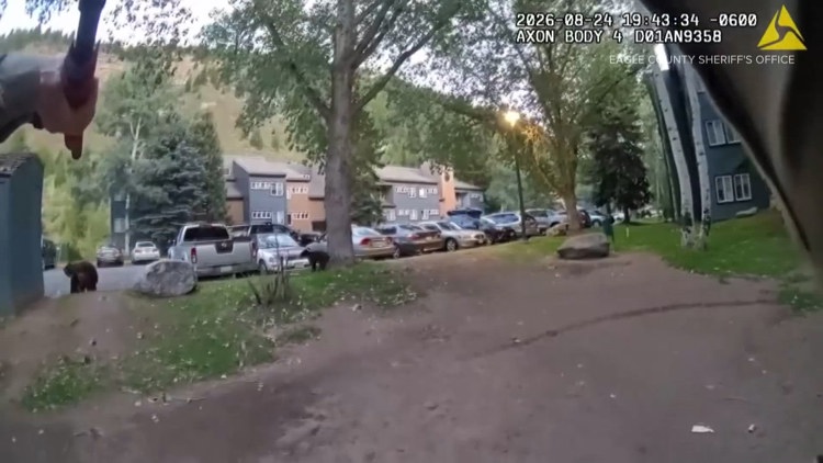 'Heartbreaking' video shows deputy shoot charging mother bear near Colorado apartment complex