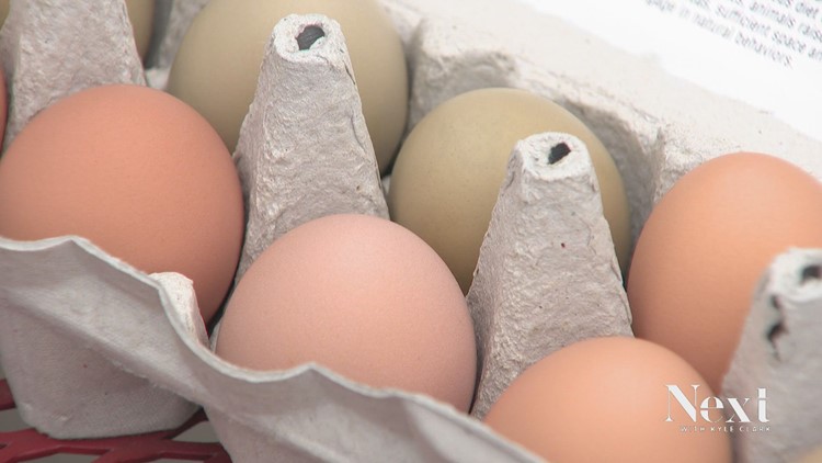 Pricier by the dozen: Multitude of factors drive egg price increase