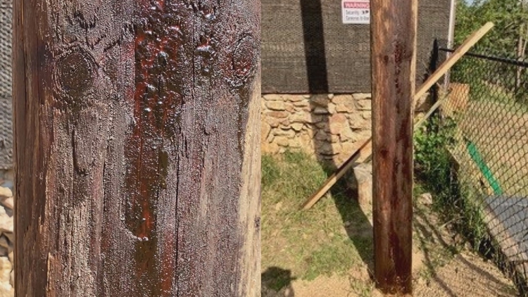 Animal sanctuary owner believes utility poles are leaking toxic chemical onto Boulder County property