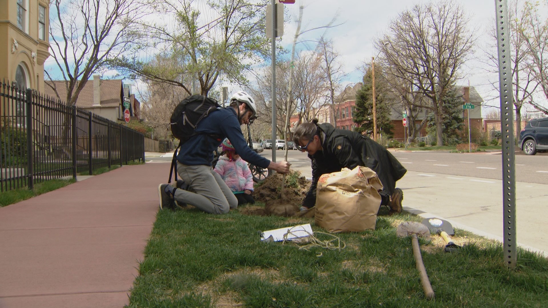 42 new trees will be planted thanks to the grant.