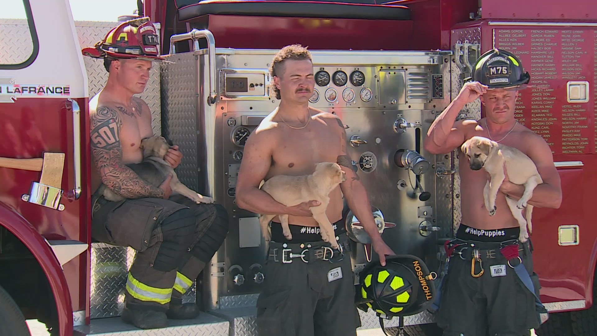 The 'Fire Rescue Dogs' calendar is the biggest fundraiser of the year for Lifeline Puppy Rescue.