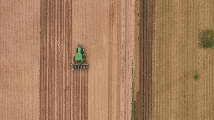 As Colorado's drought continues, some farmers plan to plant fewer crops