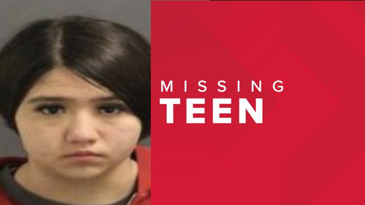 Search underway for missing, endangered teen from Brighton