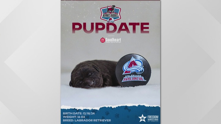 Colorado Avalanche announce name of new team dog