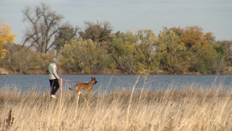 Squad of Colorado women finds lost pets