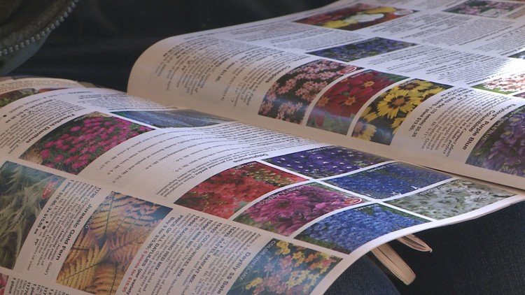 Proctor's Garden: Seed ordering savvy