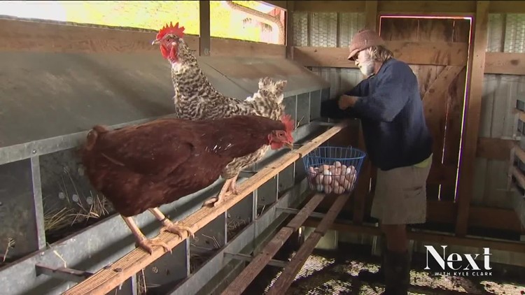 New law could spike egg costs amid shortage