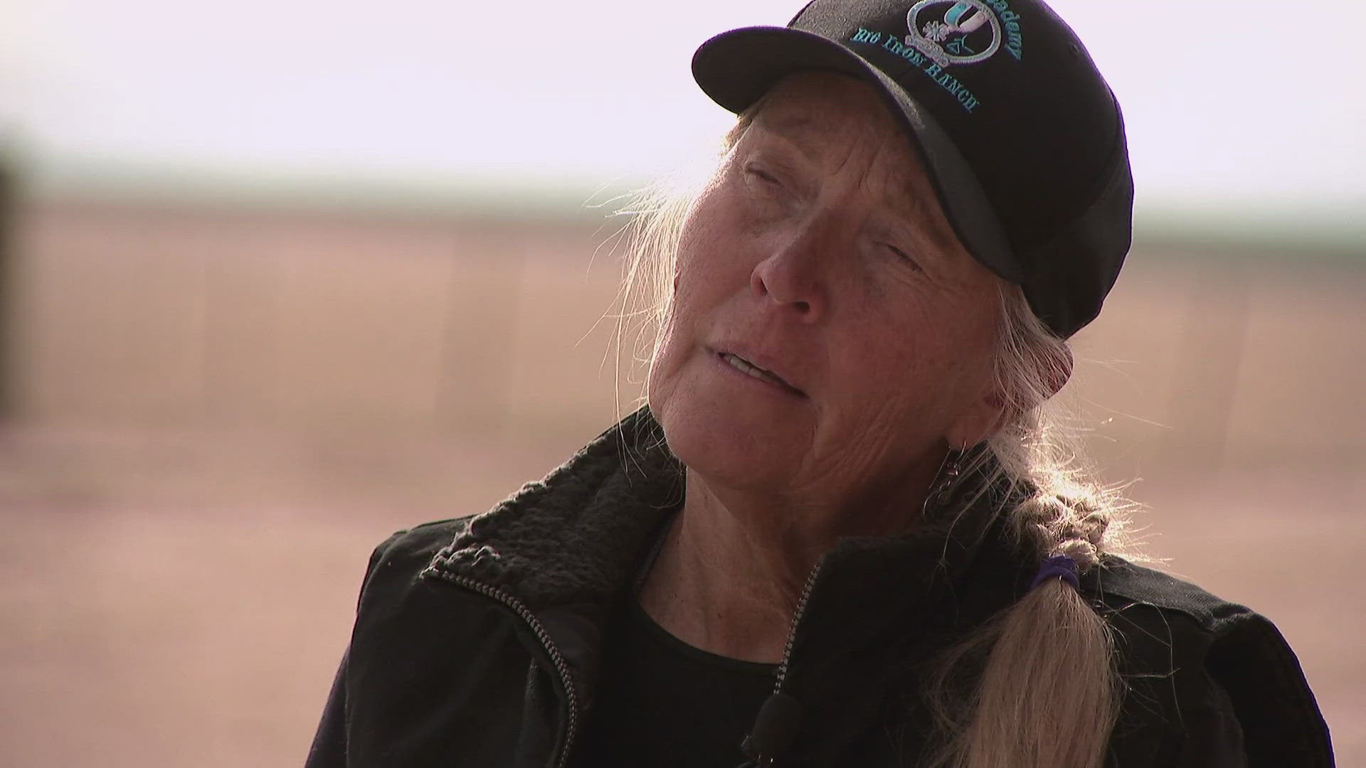 Coyotes suspected in attacks at Colorado ranch | wnep.com